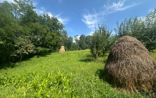 Teren Darmanesti | 41 Ari | 26.500EURO - Poză 4