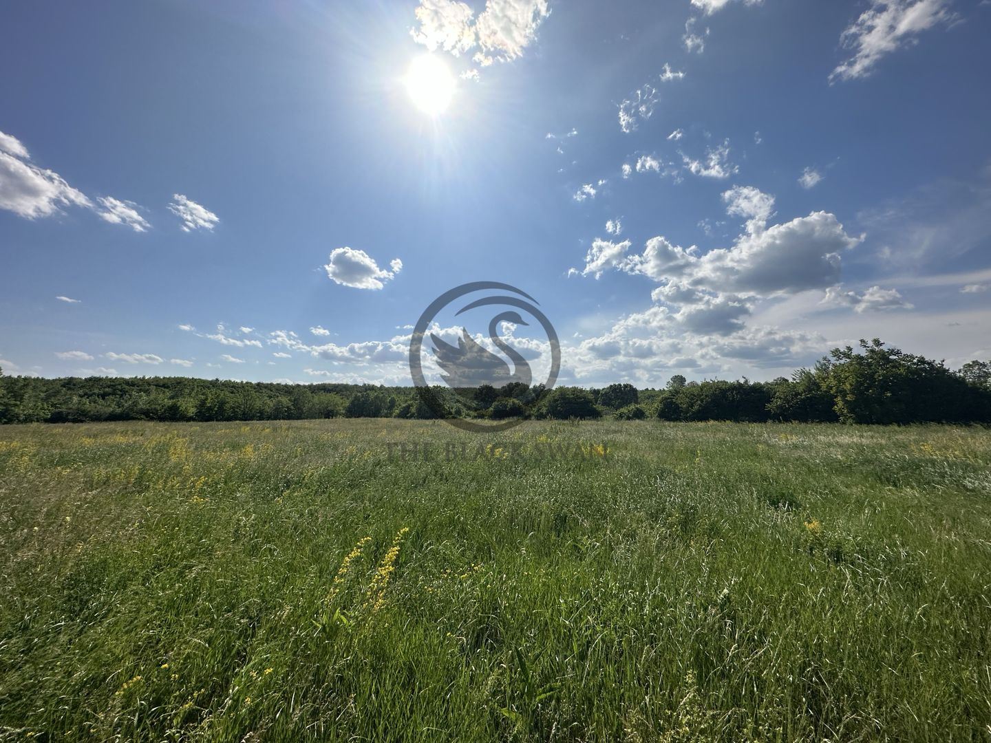 Teren intravilan de vanzare | 11.000 mp | Ghirdoveni | Comision 0% - Poză 8