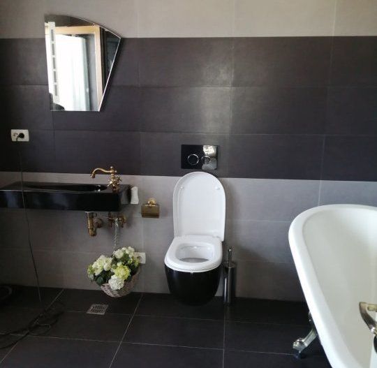 Penthouse 3 camere Soseaua Nordului - Poză 9