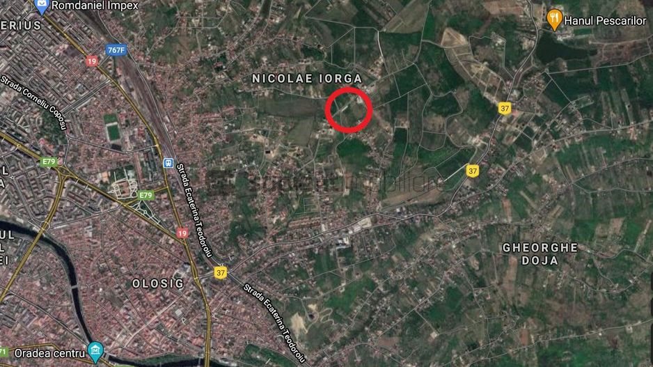 Sapient |  Parcele pe str. Colinelor, Dealuri Oradea - Poză 3