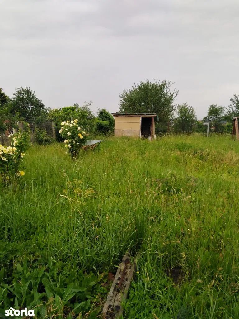 Ag EUROPA vinde teren intravilan cu toate utilitățile în Ardud. - Poză 1