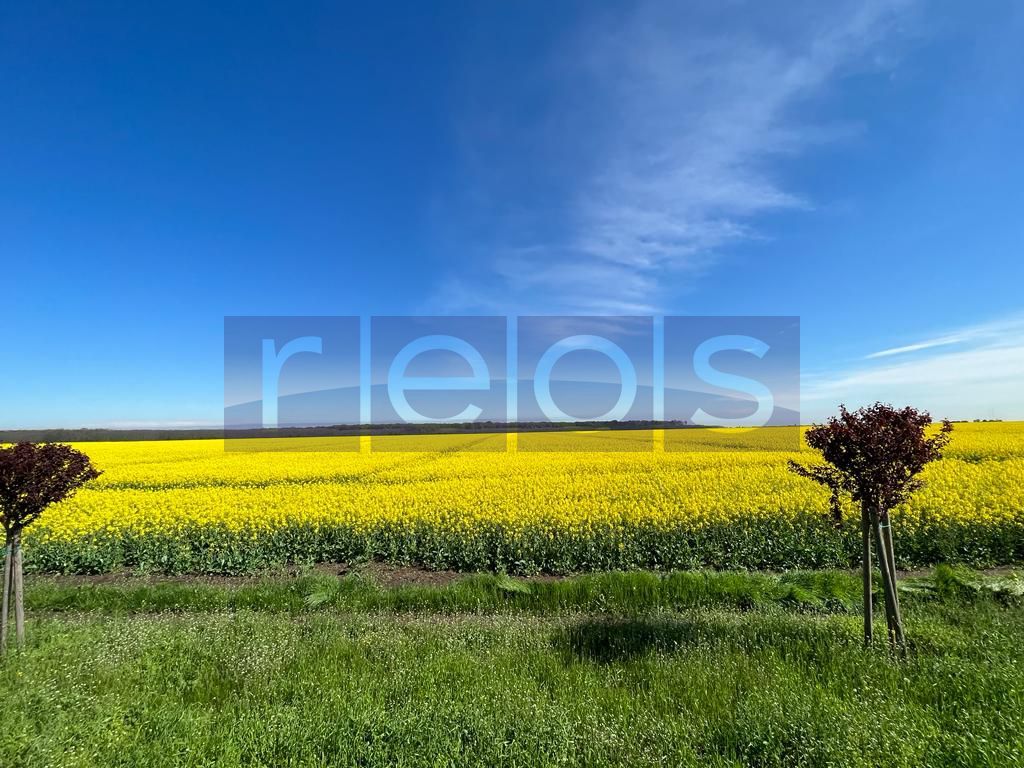 Teren 3H Makita Branesti deschidere 30 mp - Poză 3