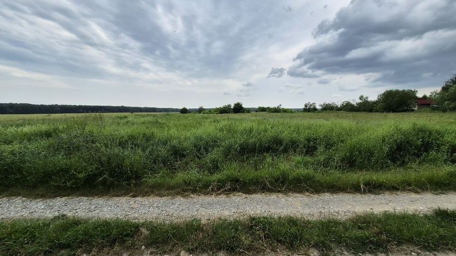 Teren intravilan langa pădure 1260 mp , deschidere 20 ml Prahova -Misl - Poză 10