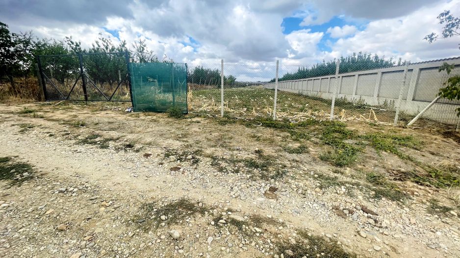 Teren intravilan de 2200 mp în Paleu – Front stradal 18 ml - Poză 1