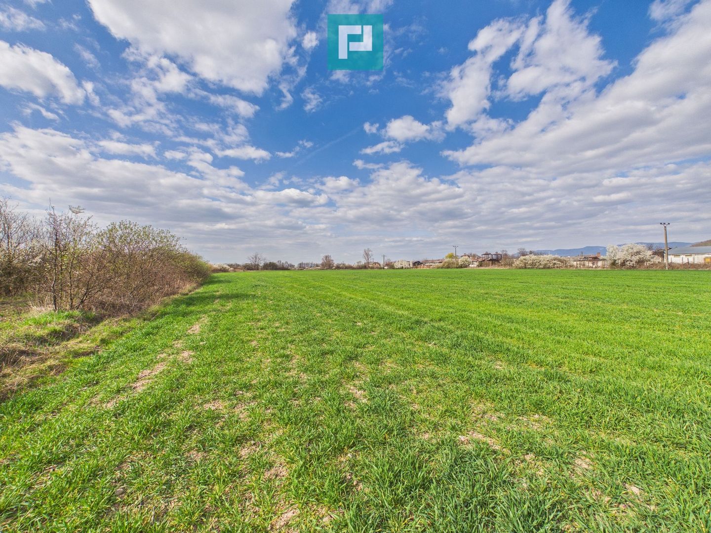 Teren extravilan, 1 ha, în orașul Sebiș, Arad - Poză 9