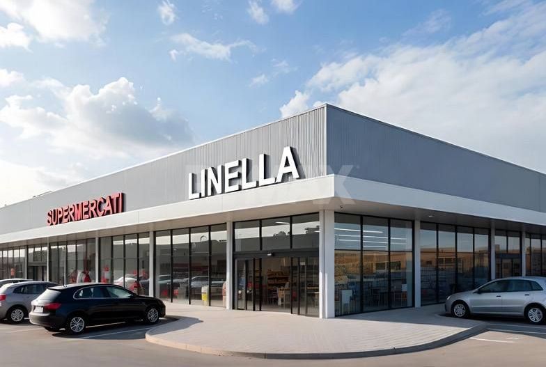 Teren de Construcție cu Încăpere Comercială de 250m2 în s.Stolniceni r-nul Hîncești - Poză 3