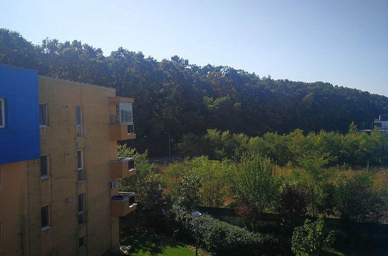 Garsoniera in Greenfield langa padure, 3/3, dec, spatioasa, vedere padure - Poză 1