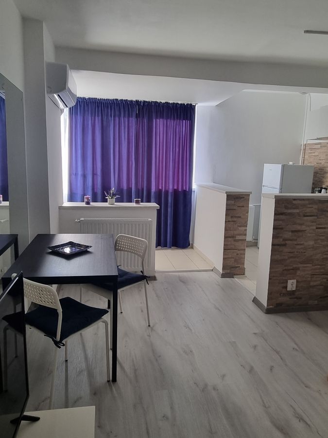 Garsoniera de inchiriat - Gara de Nord / Victoriei - Poză 3