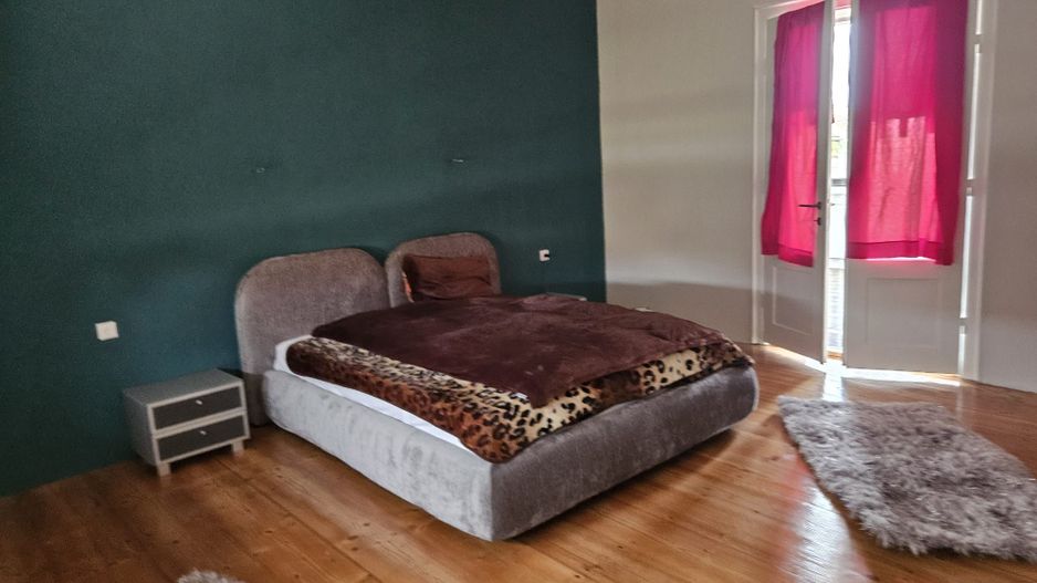 Casa ultracentral Periam - Poză 39