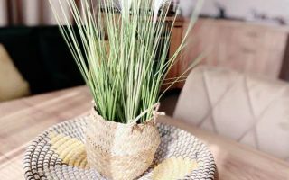 Studio Timpuri Noi - Nerva Traian | Centrala proprie - Poză 4