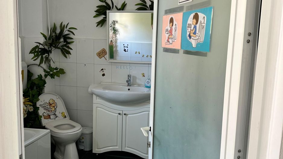 SPATIU COMERCIAL DOMENII, LOC PARCARE, CENTRALA, MOBILAT/UTILAT, CURTE - Poză 3