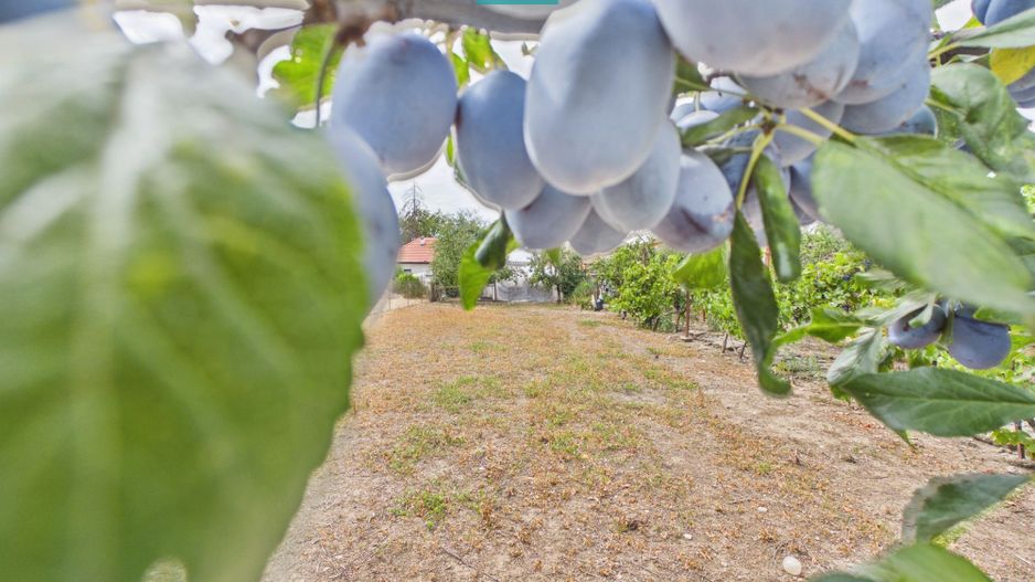 Casă solidă în Curtici cu teren de 1166 mp - Poză 20