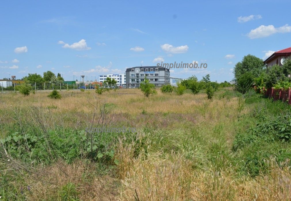 Terem 8000 mp Comuna Manolache ilfov - Poză 2