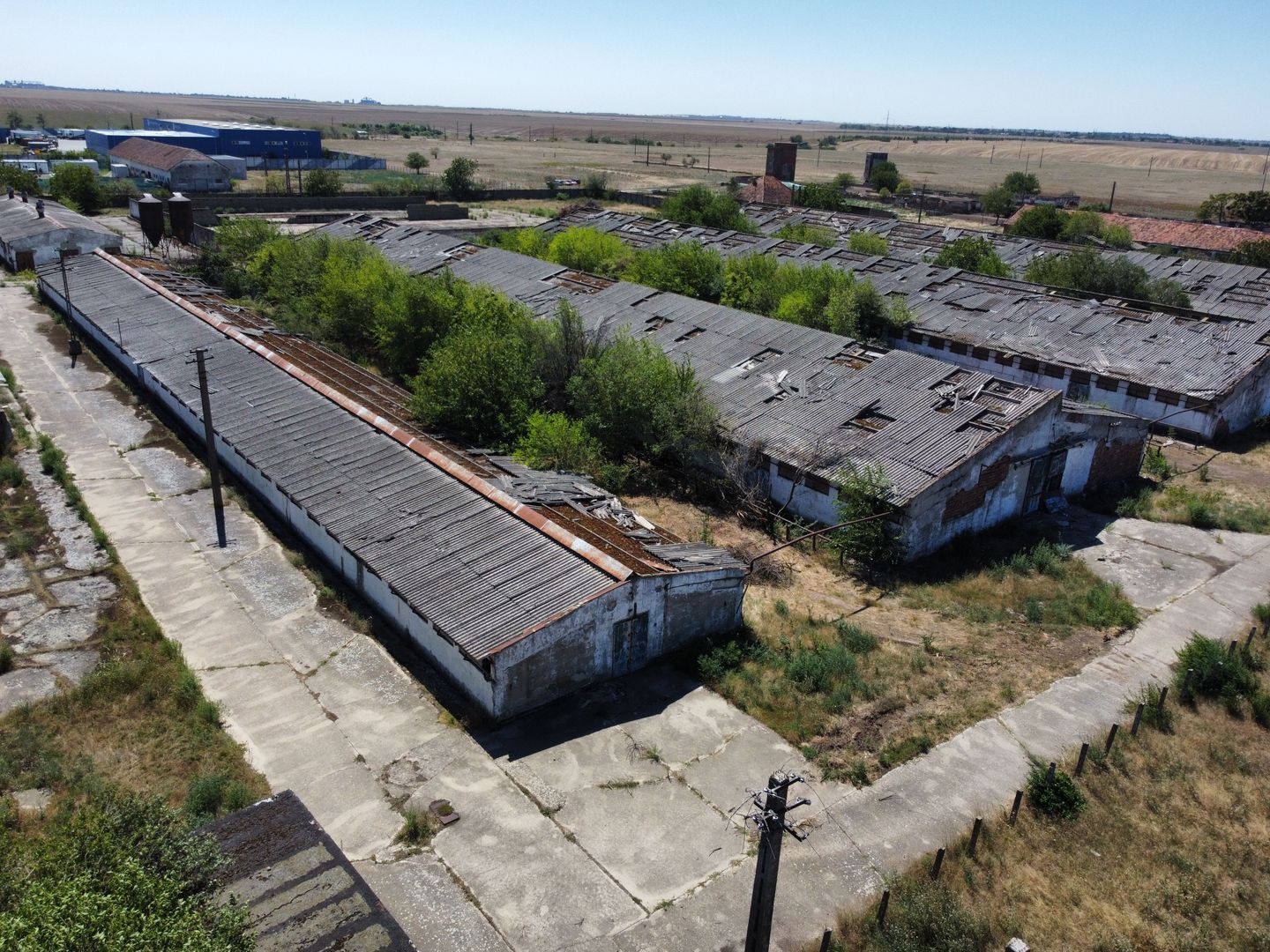 Spațiu industrial -fermă Orțișoara - Poză 13