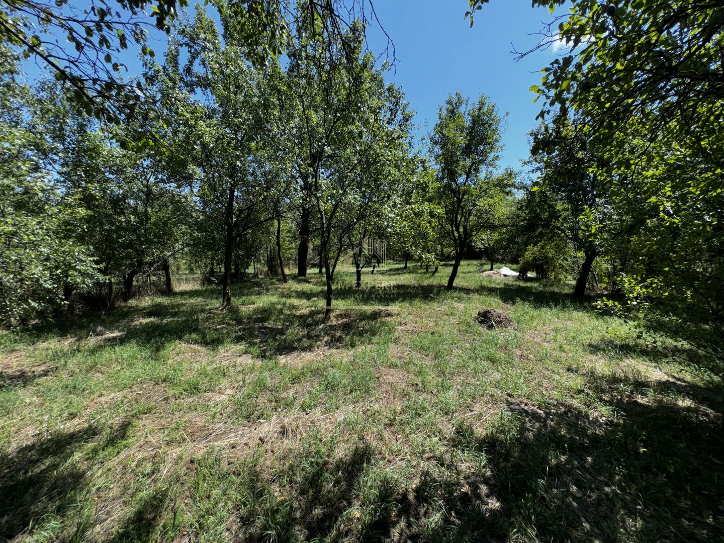 CASA 4 CAMERE CAMPULUNG, TEREN 3213 MP - Poză 29