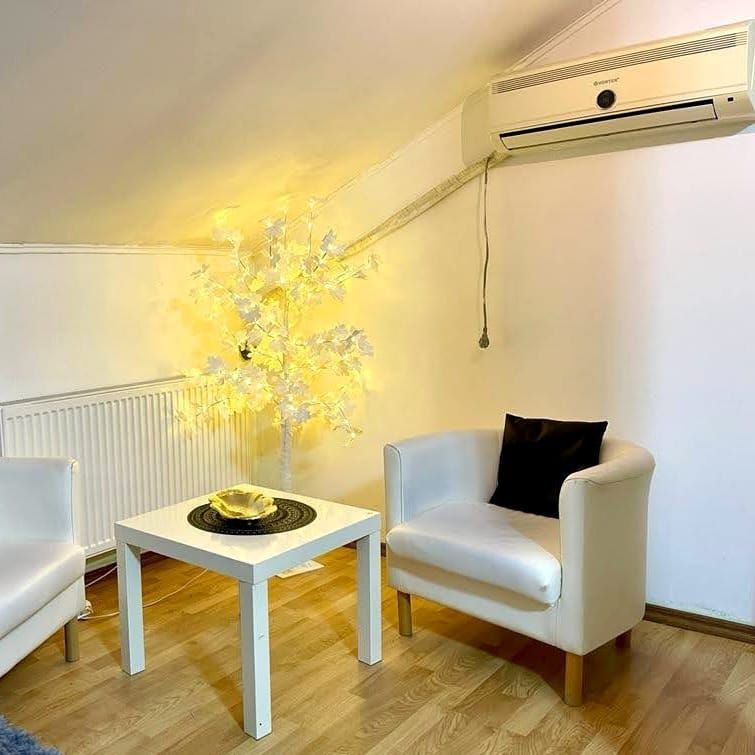 Vila-Timisoara -aleea Ghirodei-comision zero - Poză 7