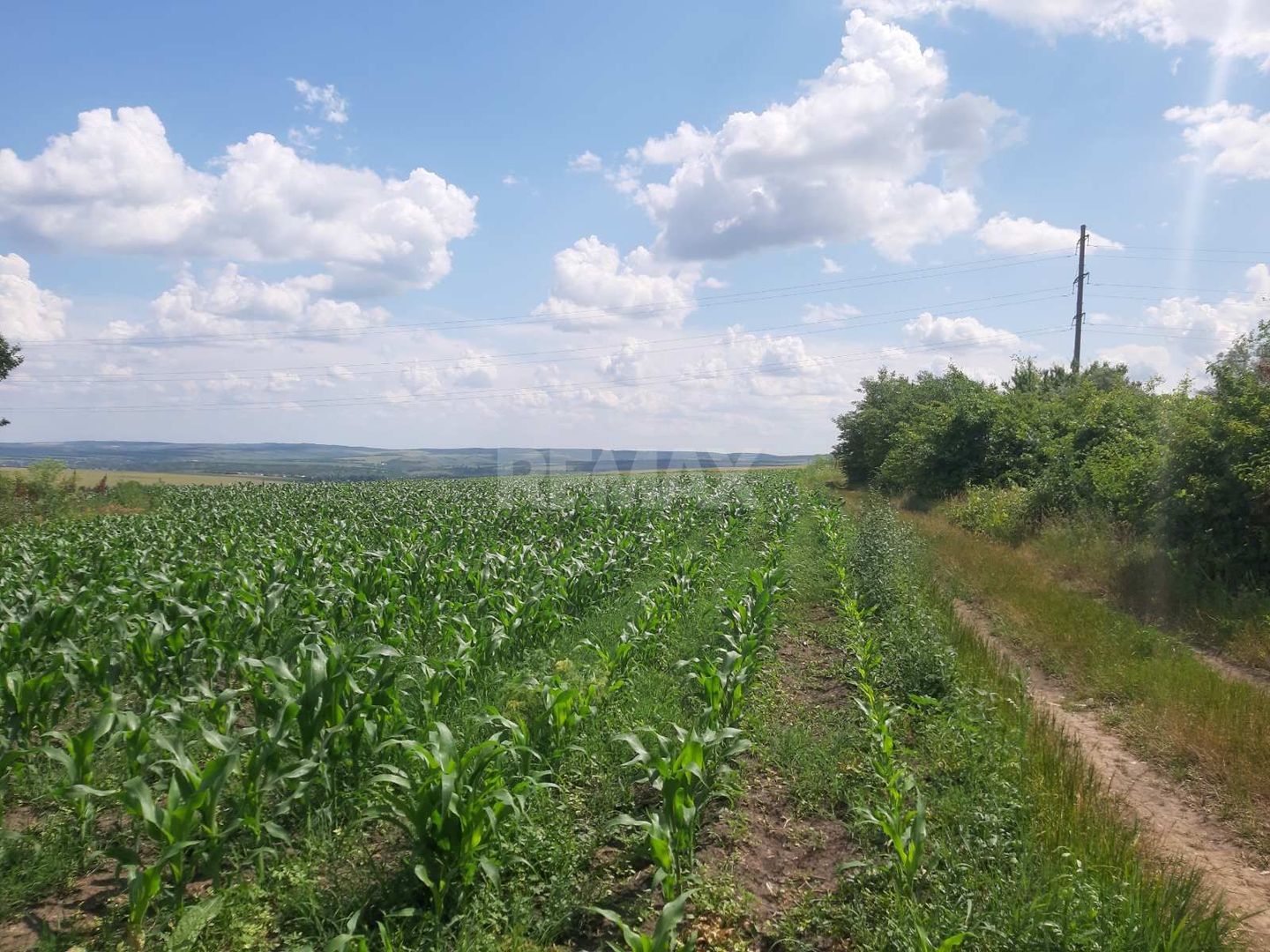 Teren cu spații industriale sau depozitare - Poză 4