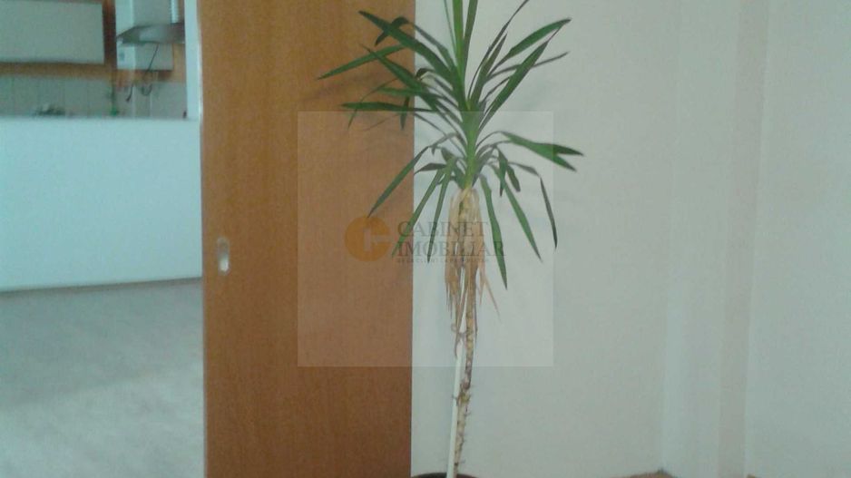 Casă 6 camere de vânzare | Zona Titulescu – Banu Manta | Sector 1 - Poză 4