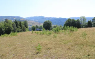 Terenuri Carpinis I parcelabil I Curent pe proprietati - Poză 12