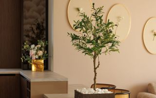 Apartament cu 3 camere in Mosaic Residence, Tractorul - Poză 4