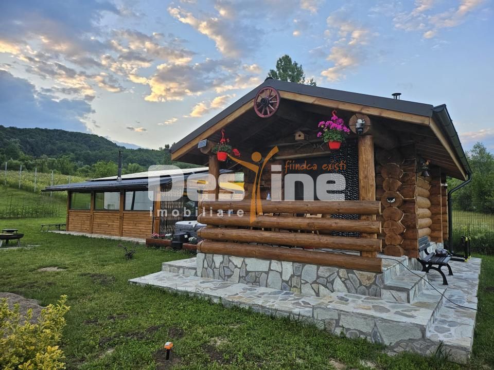 Cabana de Vis Valcanesti Prahova ! - Poză 2