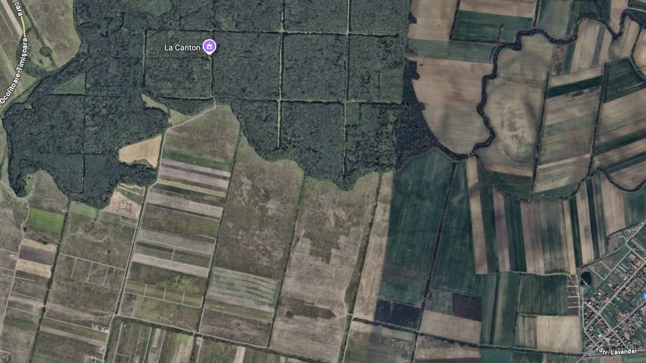 Teren zona Mosnita Padurea Bistra - Poză 2