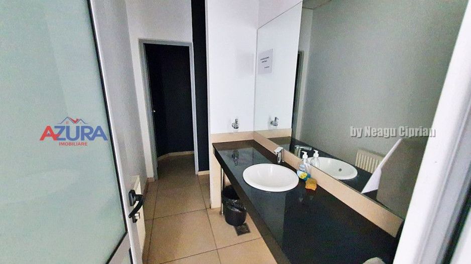 Spatiu Showroom + parcare, Stradal, DN65 Tiriac Auto Albota Pitesti - Poză 11