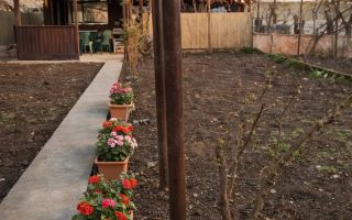 De Vanzare Casa - Glina - Poză 9