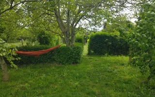 BRASADAS vinde casa individuala in zona Aurel Vlaicu. - Poză 20