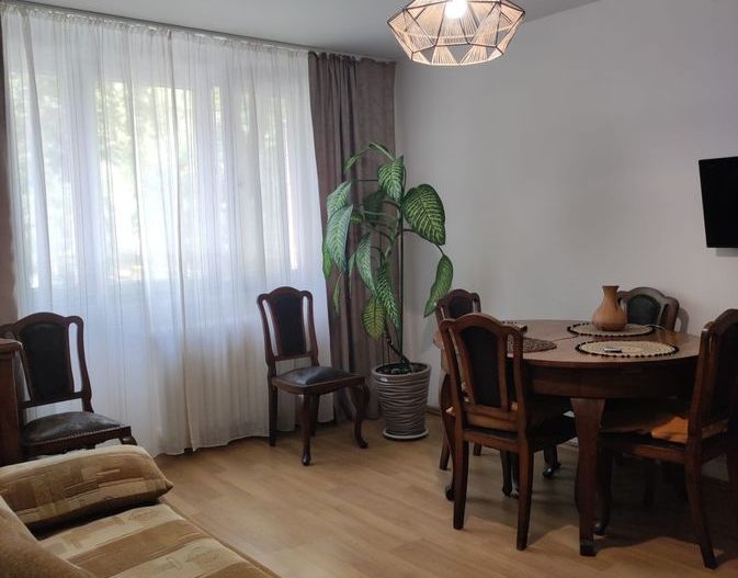 Apartament 3 camere bloc anvelopat, Raul Doamnei,  Parc Drumul Taberei - Poză 1