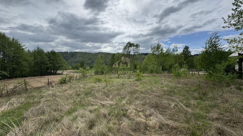 TEREN INTRAVILAN 6680 MP LERESTI ARGES - Poză 3