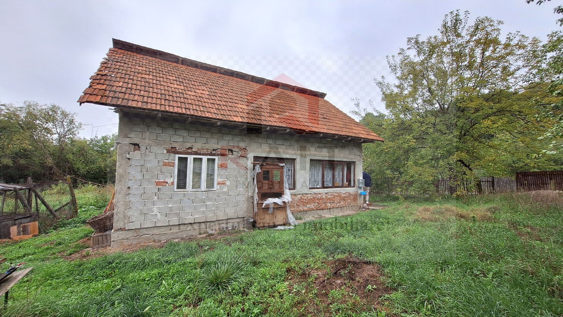 Casa de Vanzare Baiculesti Arges - Poză 4