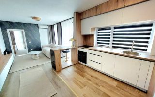 Apartament 2 camere Dumbravita etaj 1 - Poză 3
