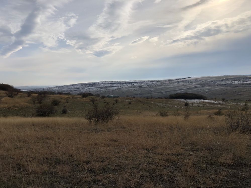 Parcela 7600 m2 Valea Fanatelor - Poză 8