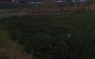 Teren Branesti - Strada Noua - Poză 9