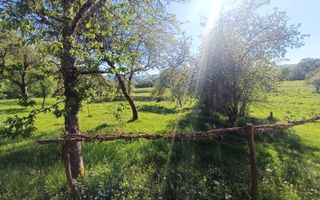 Descoperă căsuța ta de vis la poalele Munților Apuseni - Poză 6