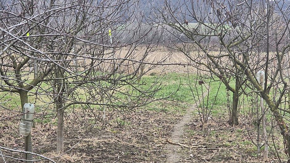 Casa cu teren 4000 mp in Bogei, Bihor - Poză 6