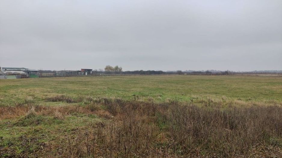 Teren 4588 mp, Remetea Mare Comision 0% - Poză 3