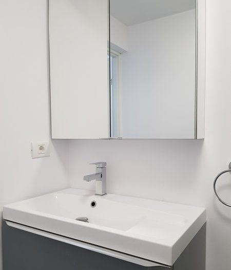 Închiriere 2 Camere Ultracentral, Vedere Dambovita, Renovat - Poză 17