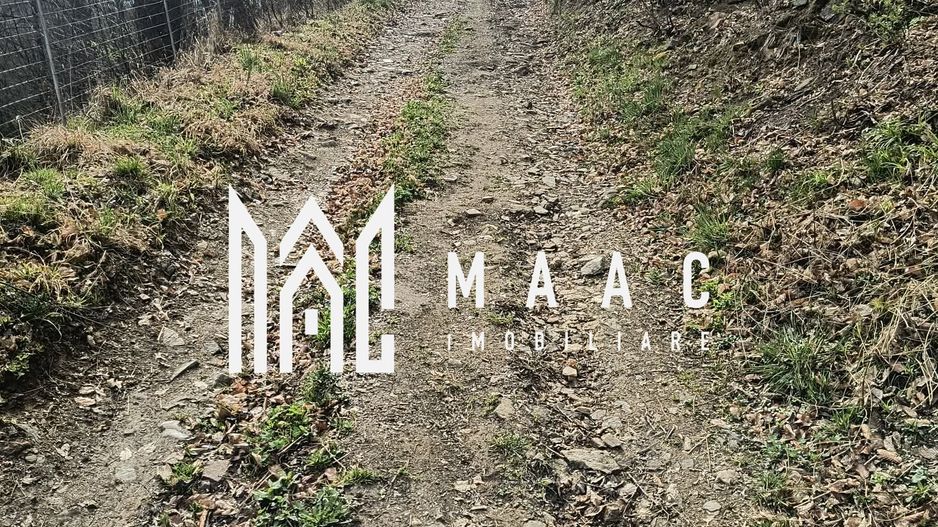 Un colt de rai in Apuseni I viața ca pe vremuri - Poză 4