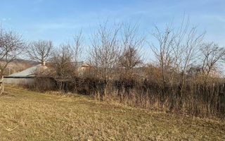 Casa Batraneasca 100 MP + teren intravilan 400 MP, 4500 MP extravilan - Poză 12