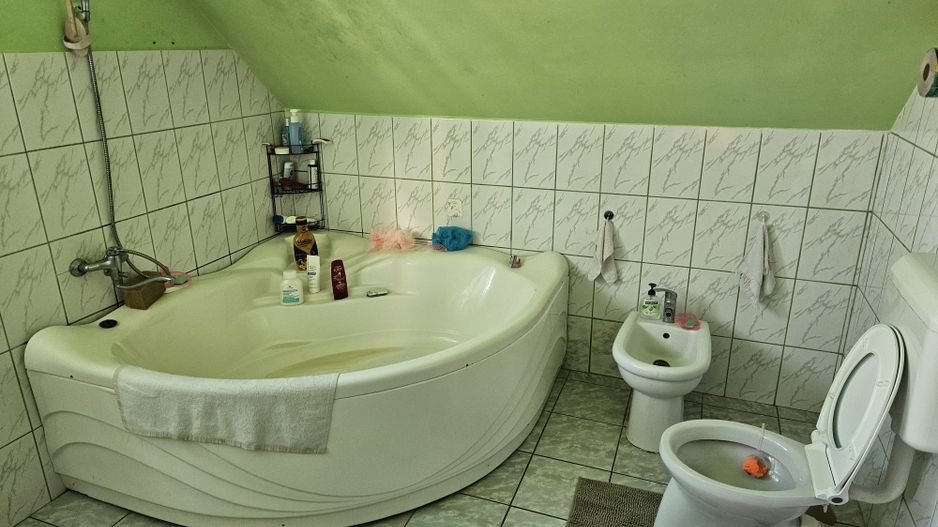Casă 2 familii / firmă + livadă Satu Mare - Cionchești - Poză 3