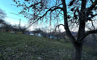 Teren Intravilan cu 2 Deschideri 4000mp Predelut-Bran | GOPO - Poză 6