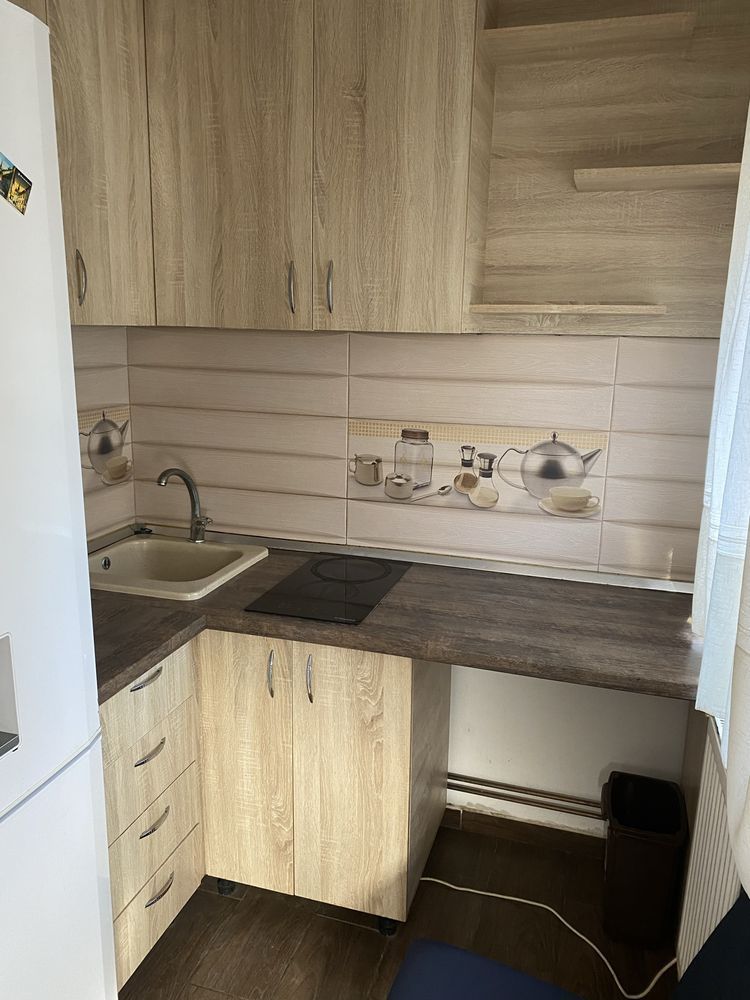 Buziasului | 1 Camera | Etaj 1 | Renovata-Mobilata si Utilata - Poză 2