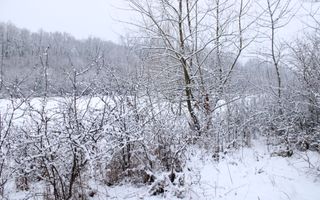 Super oferta I teren intravilan de vanzare in Cisnadie - Poză 9