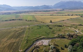 TEREN EXTRAVILAN DE VÂNZARE – 13.849 mp - Poză 9