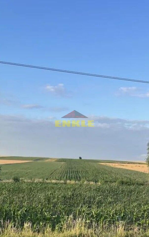 Teren 7430 mp , situat in Rachiti-la strada principala - Poză 1