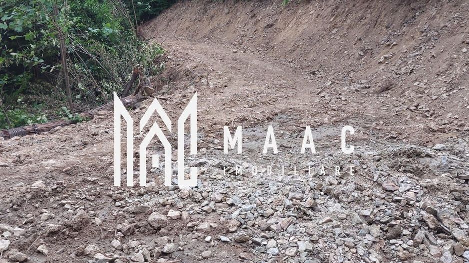5000 teren in Muntii Apuseni I Pregatit pentru constructie - Poză 22