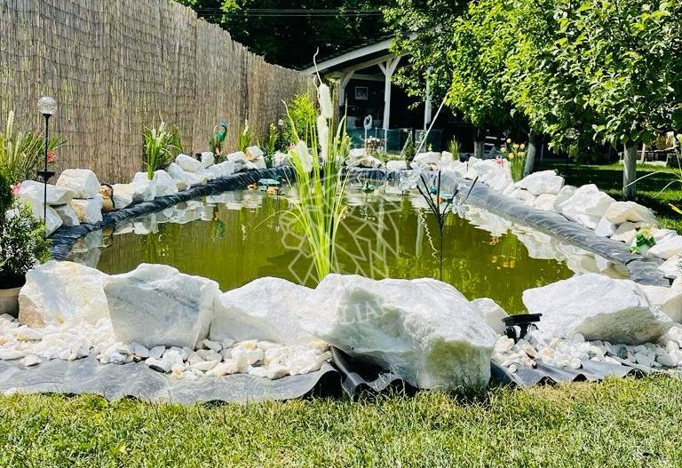 Casa 220 mp-teren 1800 mp-piscina-lac de pesti-foisor-Unirea - Poză 4