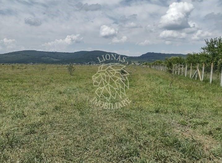 Teren 23700 mp (2,37 ha)-ideal investitie,cabana-Sesul Jelnei - Poză 1